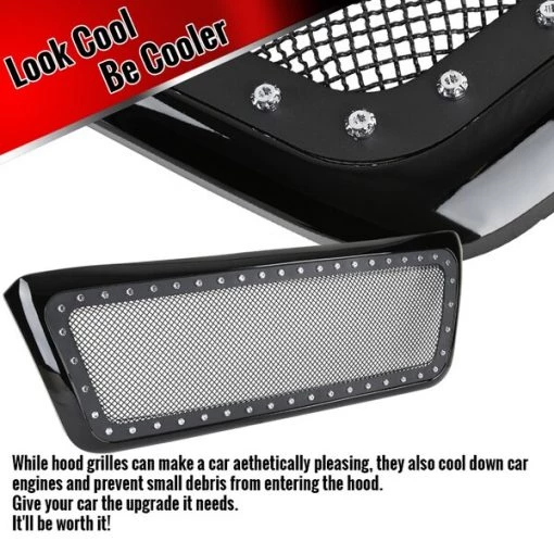 04-08 Ford F150 Raptor Grille- Glossy Black