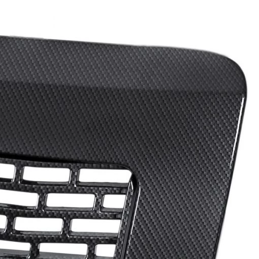 09-14 Ford F150 Raptor Style Grille