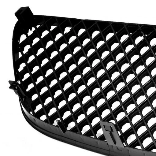 02-03 Nissan Maxima Mesh Grill Black