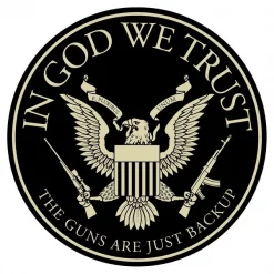 6×8 In God We Trust Guns Backup