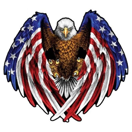 6×8 Eagle USA Flag