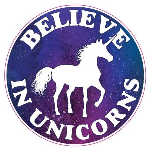 6×8 Believe in Unicorns Circle