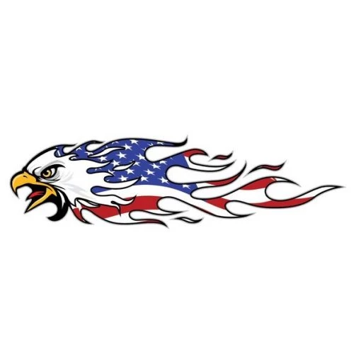 3×10 Eagle Head with USA Flames