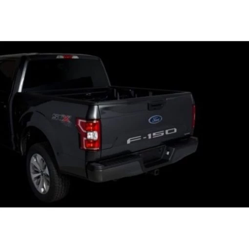 18-C F150 CUT LETTERS SILVER PLATINUM TAILGATE FORD LETTERING EMBLEMS