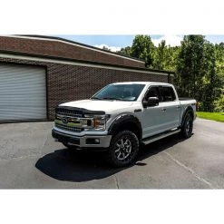 15-C F150 SMOKE BUGFLECTOR II
