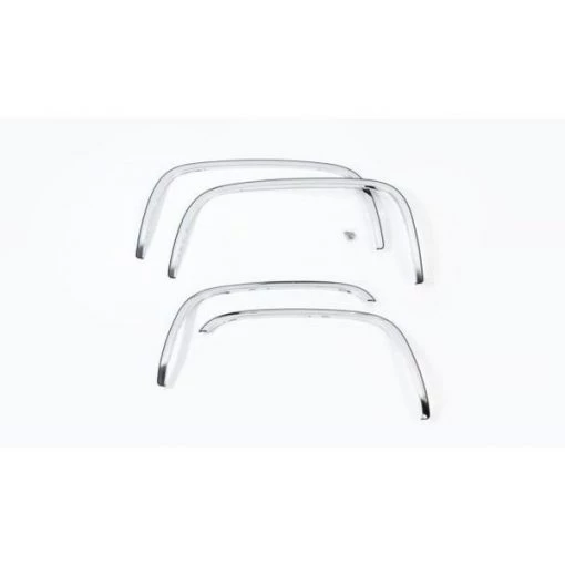 19-C CHEVROLET SILVERADO 1500 STAINLESS STEEL FENDER TRIM MIRROR FINIS
