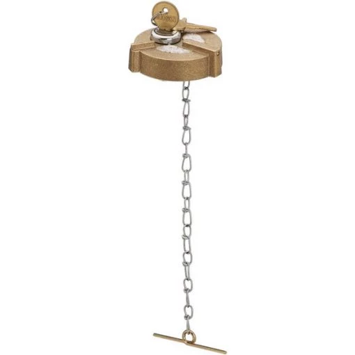 Fuel Tank Cap, 31823