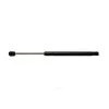 Acdelco Back Glass Lift Support, 510-1012