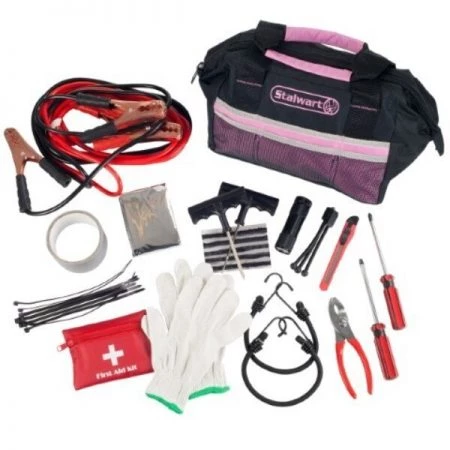 Fleming Supply 55 Pc Emergency Roadside Kit with Travel Bag - Pink