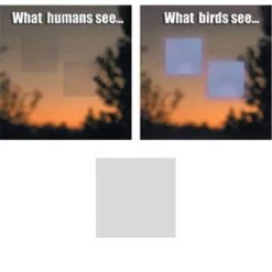 Window Alert Square Decal help prevent wild birds from accidentaly striking windows