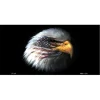 Powerhouse American Flag with Eagle on Black Background License Plates Tags